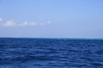 Plakat Blue sea