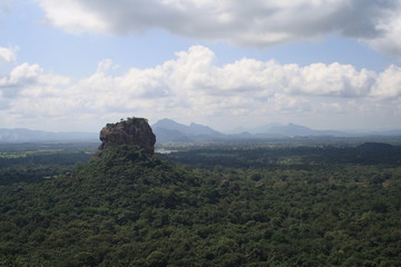 Naklejka premium Lion mountain