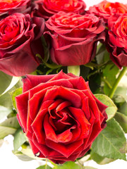 close up of a Bunch of beautiful dark red roses