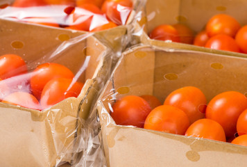 ripe cherry tomatoes packages in box and plastic