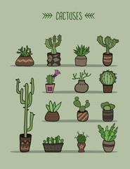 Set of cacti and succulent plants  in pots.