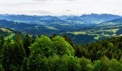 Naklejka na ściany i meble Panorama of Alps near Bregenz.