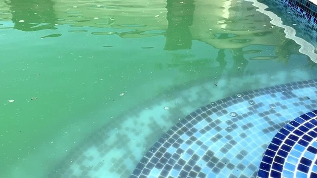 Dirty water in outdoor pool. Video of a green algae swimming pool. Trash on the surface of the water. Pool needs cleaning and ph level stabilization. Preparation for summer vacation season. 