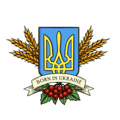 Hand drawn color sketch, Ukrainian national emblem, spikes of wheat, branch of viburnum
