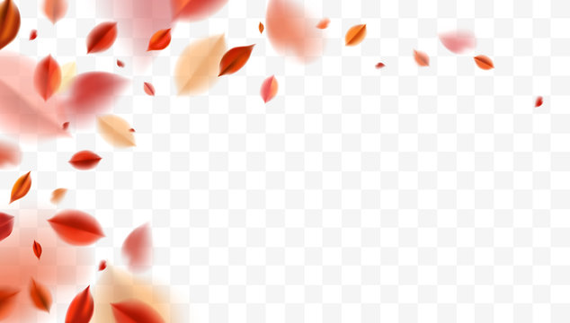 Fall blurred flying red leaves, autumn nature vector design elements for photo decoration
