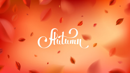Fall background with blurred flying red leaves, autumn nature vector design