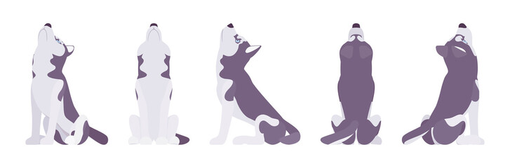 Husky dog howling. Northern sled, medium size compact Siberian breed, cute family companion for active fun and home security. Vector flat style cartoon illustration, white background, different views