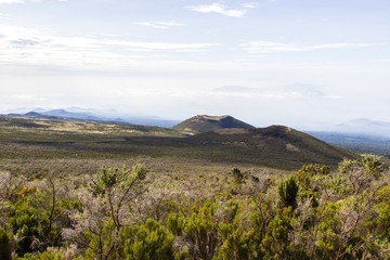 Kilimanjaro national park landscape