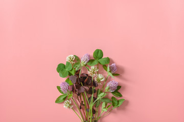 Small bouquet of clover flowers on pink background. Flat lay. Minimal nature concept