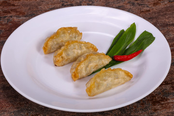 Japanese traditional cuisine Gyoza dumplings