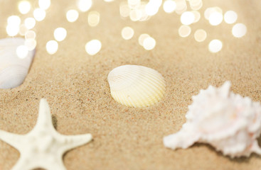 vacation and summer holidays concept - seashells on beach sand