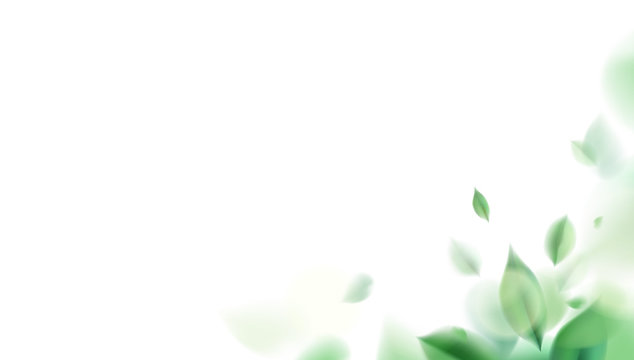 Green nature leaves on white background vector isolated elements design