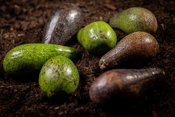 natural food vegetarian