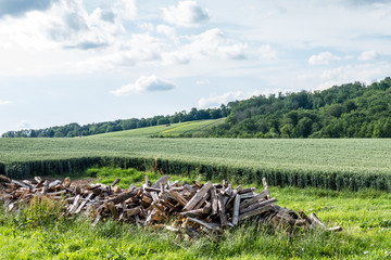 Brennholz Haufen auf Wiese © focus finder