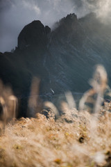 Swiss mountain train