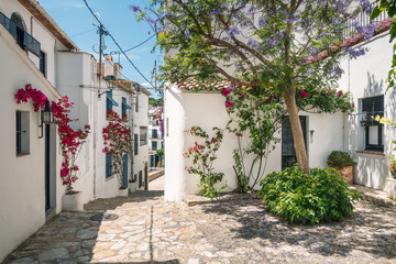 Fototapeta na wymiar sunny view of typical mediterranean spanish village