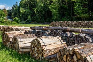 Brennholzlager © focus finder