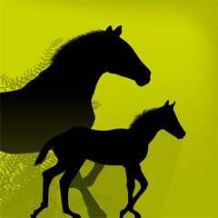 Horse_background
