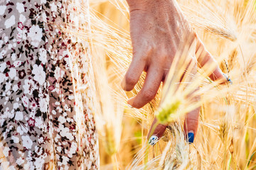 Woman hand touching golden wheat
