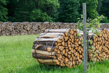 Brennholzlager © focus finder