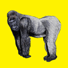 The gorilla cartoon character in pop art style.
