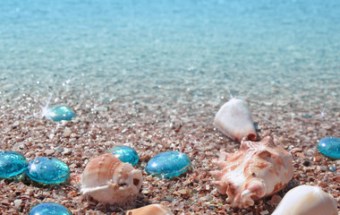 Fototapeta na wymiar Background with beautiful seashells on wet sand.