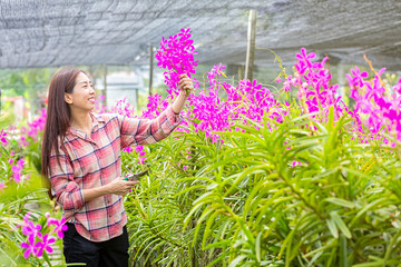 Farmers are admiring flower garden production. Happy young Woman walking in the orchid plant....
