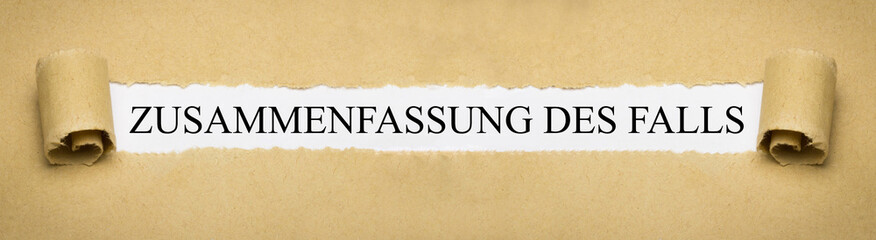 Zusammenfassung des Falls
