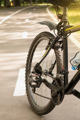 Cropped shot of Bicycle on a Bike Lane in the sunny park. Travel concept, sport and tourism. Bokeh background