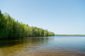 Lake with Forest and Blue Sky