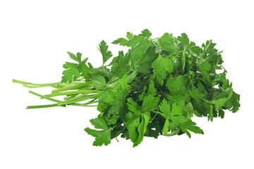 a bunch of parsley close-up on a white background isolated