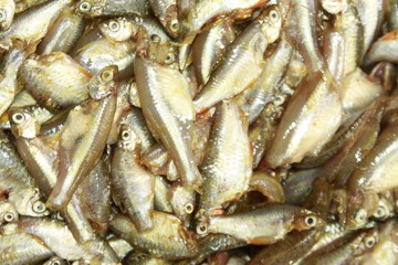 Fresh uncooked fishes,Healthy food background.