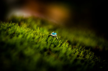  ENGAGEMENT RING © PIOTR JARCZYKOWSKI