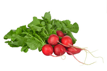 bunch of radishes isolated on white background closeup