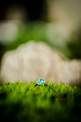  ENGAGEMENT RING © PIOTR JARCZYKOWSKI