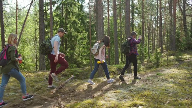 Group of four young hikers with backpacks walking along trail through forest, looking around and drinking water, side view tracking right shot