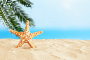 Fototapeta na wymiar holidays. sand beach and starfish in front of summer sea background with copy space