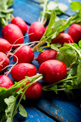 Fresh red radish on the rustic background. Selective focus.