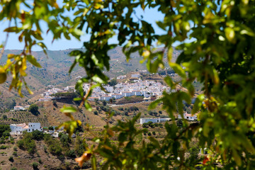 Rural landscape from the south of Spain, in Andalusia. From the tropical weather of Malaga, we can see the rural village in the mountains, full of typical white houses of Andalusia. 