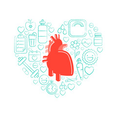 Human heart for Health and Medical.