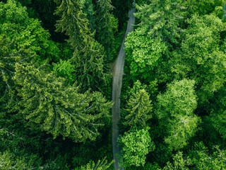 Aerial top view of country road in green summer forest. Rural landscape in Finland.