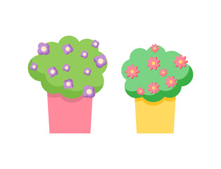 Flower decoration for home interior vector, flower growing in pot isolated plan with flourishing. Blooming botanical decor decorative object for house