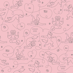 Yoga dogs poses and exercises. Australian shepherd seamless pattern