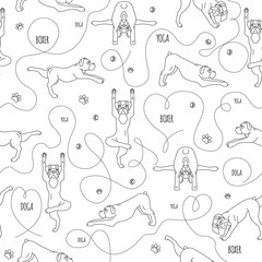 Yoga dogs poses and exercises. Boxer dog seamless pattern