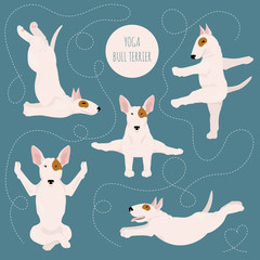 Yoga dogs poses and exercises. Bull terrier clipart