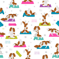 Yoga dogs poses and exercises. Cavalier King Charles spaniel seamless pattern