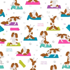 Sierkussen Yoga honden poses en oefeningen. Cavalier King Charles spaniel naadloos patroon © a7880ss