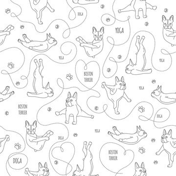 Yoga dogs poses and exercises. French bulldog linear seamless pattern