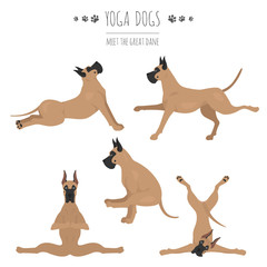 Yoga dogs poses and exercises. Great dane clipart