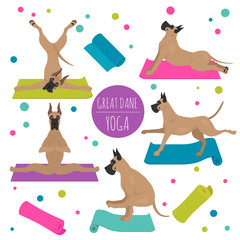 Yoga dogs poses and exercises. Great dane clipart